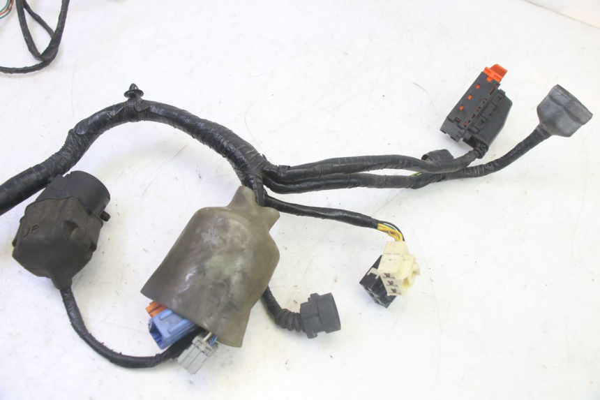 photo de WIRING HARNESS HONDA FES S-WING SWING ABS 125 (2007 - 2015)