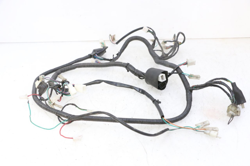 photo de WIRE HARNESS STAHO FH 50 (2018 - 2019)
