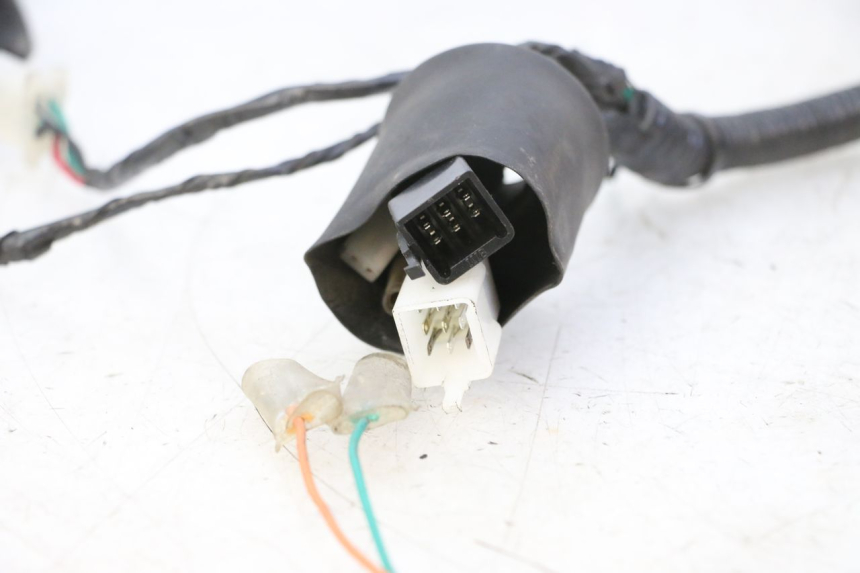 photo de WIRE HARNESS STAHO FH 50 (2018 - 2019)