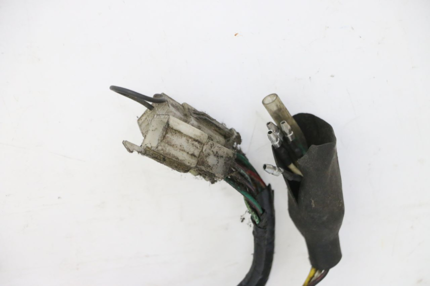 photo de WIRE HARNESS STAHO FH 50 (2018 - 2019)