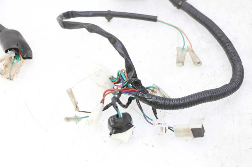 photo de WIRE HARNESS STAHO FH 50 (2018 - 2019)