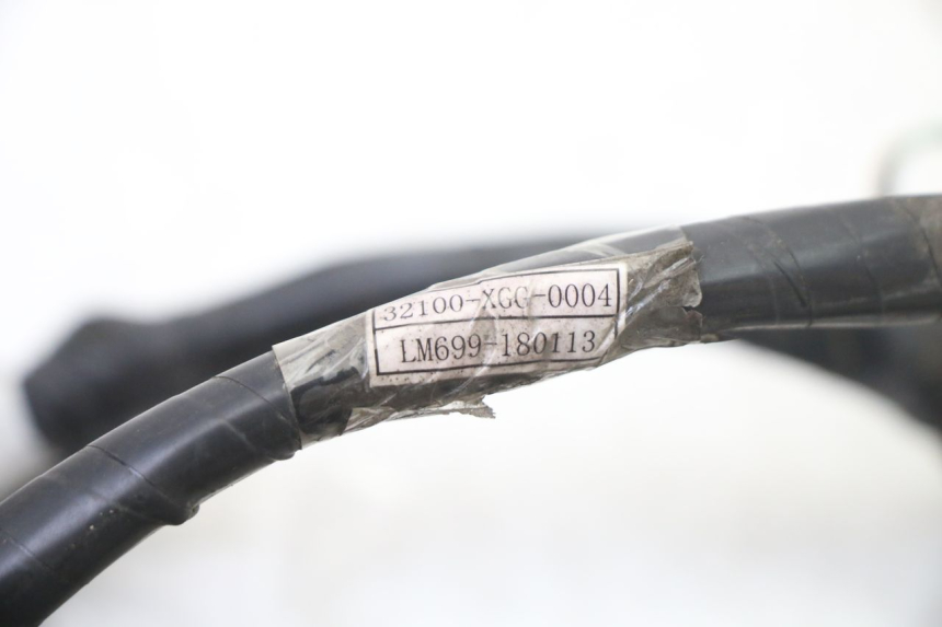 photo de WIRING HARNESS SYM FIDDLE 3 III 125 (2014 - 2020)