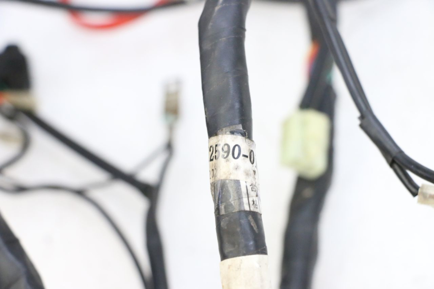 photo de WIRE HARNESS MBK FLAME X 125 (2007 - 2016) - Alternative perspective