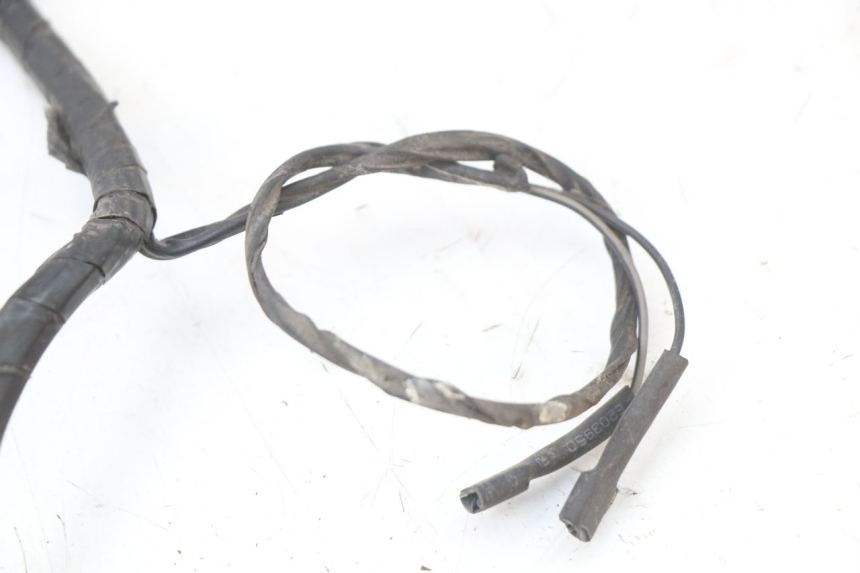 photo de WIRE HARNESS PIAGGIO FLY 4T 50 (2004 - 2010)