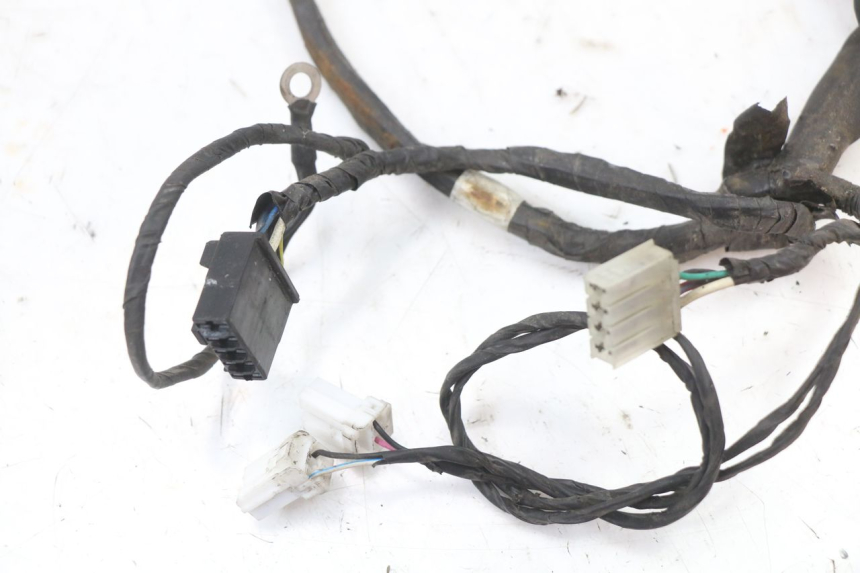 photo de WIRE HARNESS PIAGGIO FLY 4T 50 (2004 - 2010)