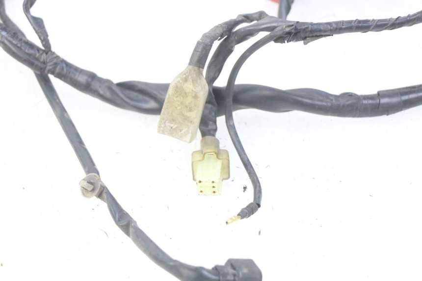 photo de WIRING HARNESS HONDA FORZA 125 (2015 - 2016)
