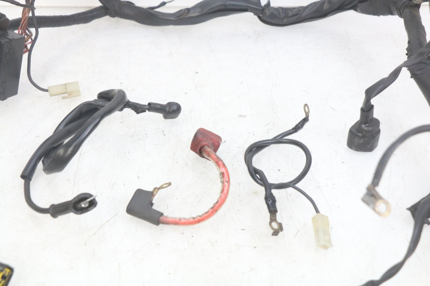photo de WIRING HARNESS YAMAHA FZS FAZER 600 (1998 - 2001)