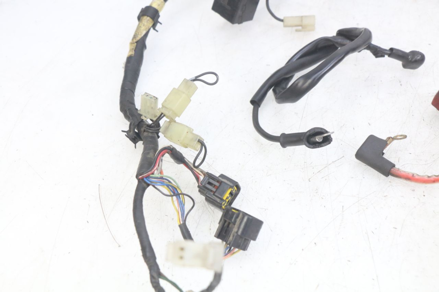 photo de WIRING HARNESS YAMAHA FZS FAZER 600 (1998 - 2001)