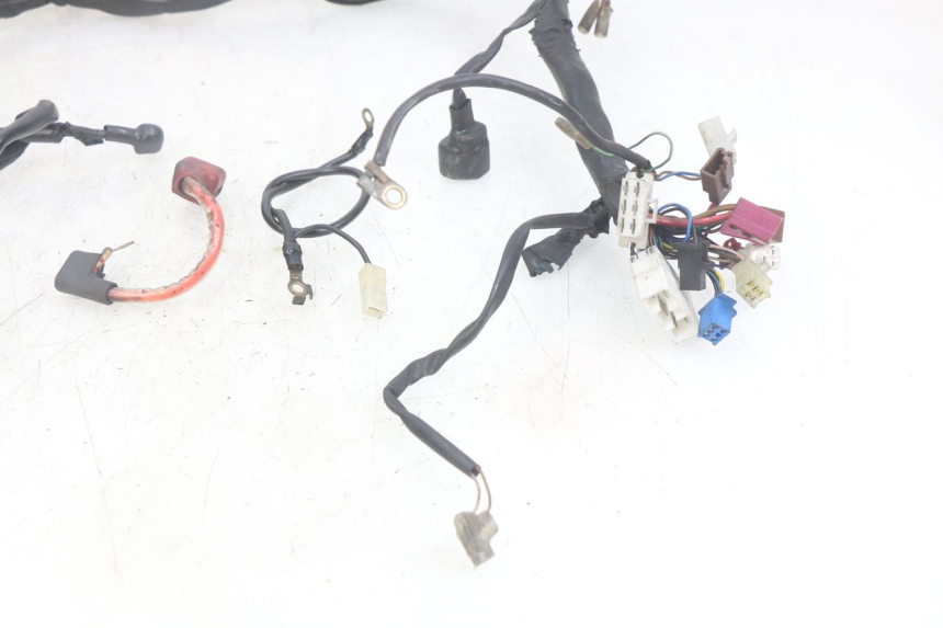 photo de WIRING HARNESS YAMAHA FZS FAZER 600 (1998 - 2001)