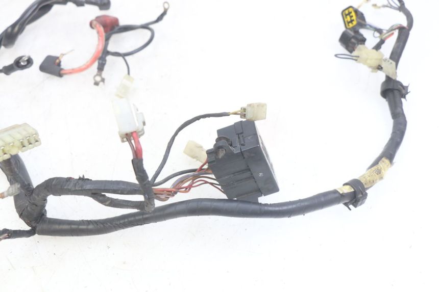 photo de WIRING HARNESS YAMAHA FZS FAZER 600 (1998 - 2001)