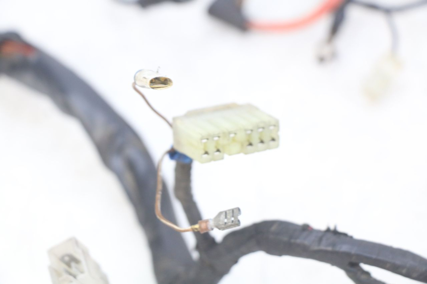 photo de WIRING HARNESS YAMAHA FZS FAZER 600 (1998 - 2001)