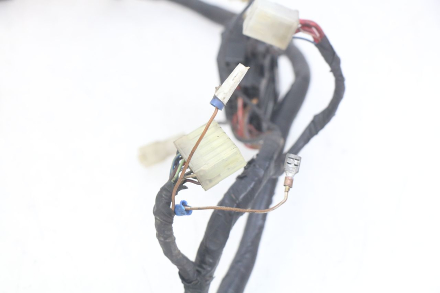 photo de WIRING HARNESS YAMAHA FZS FAZER 600 (1998 - 2001)