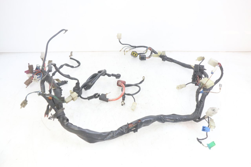 photo de WIRING HARNESS YAMAHA FZS FAZER 600 (1998 - 2001)