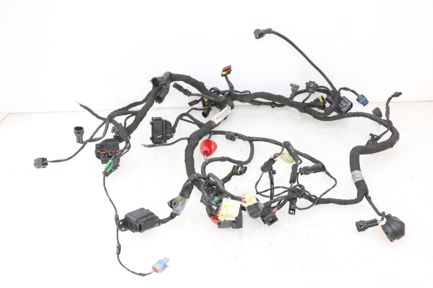 photo de WIRE HARNESS BMW G310 R 310 (2016 - 2020)