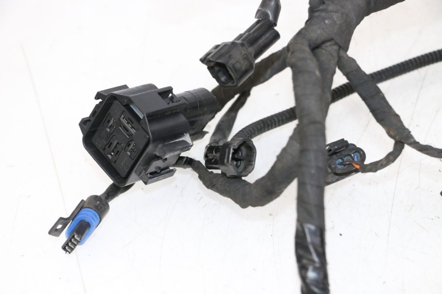 photo de WIRE HARNESS BMW G310 R 310 (2016 - 2020)