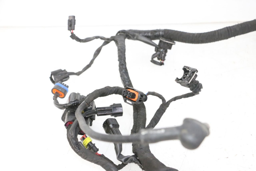 photo de WIRE HARNESS BMW G310 R 310 (2016 - 2020)