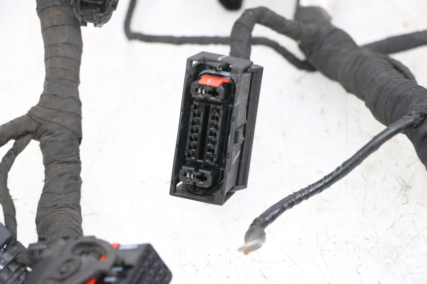 photo de WIRE HARNESS BMW G310 R 310 (2016 - 2020)