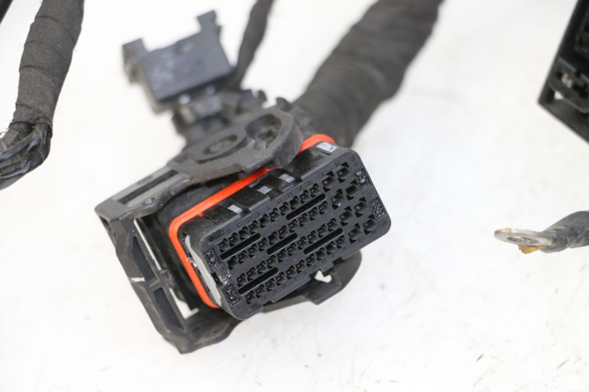 photo de WIRE HARNESS BMW G310 R 310 (2016 - 2020)