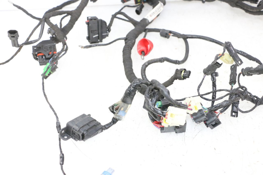 photo de WIRE HARNESS BMW G310 R 310 (2016 - 2020)