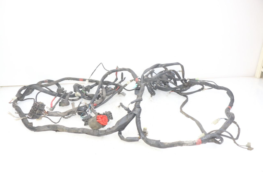 photo de WIRING HARNESS GILERA NEXUS 125 (2007 - 2009)