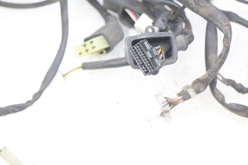 photo de WIRING HARNESS GILERA NEXUS 125 (2007 - 2009)