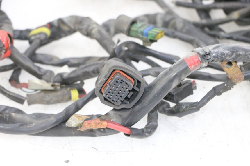 photo de WIRE HARNESS GILERA NEXUS 300 (2008 - 2013)