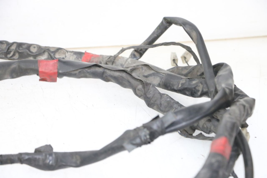 photo de WIRE HARNESS GILERA NEXUS 300 (2008 - 2013)