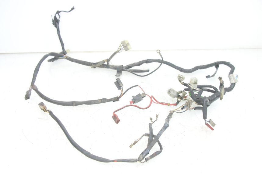 photo de WIRING HARNESS GILERA RK 50 (1996 - 1999)