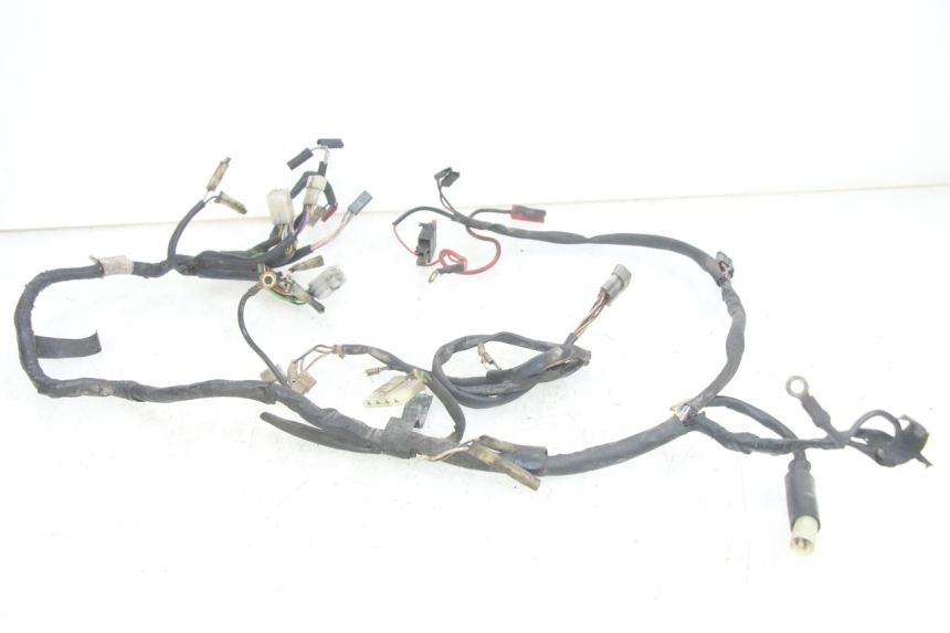 photo de WIRING HARNESS GILERA RK 50 (1996 - 1999)