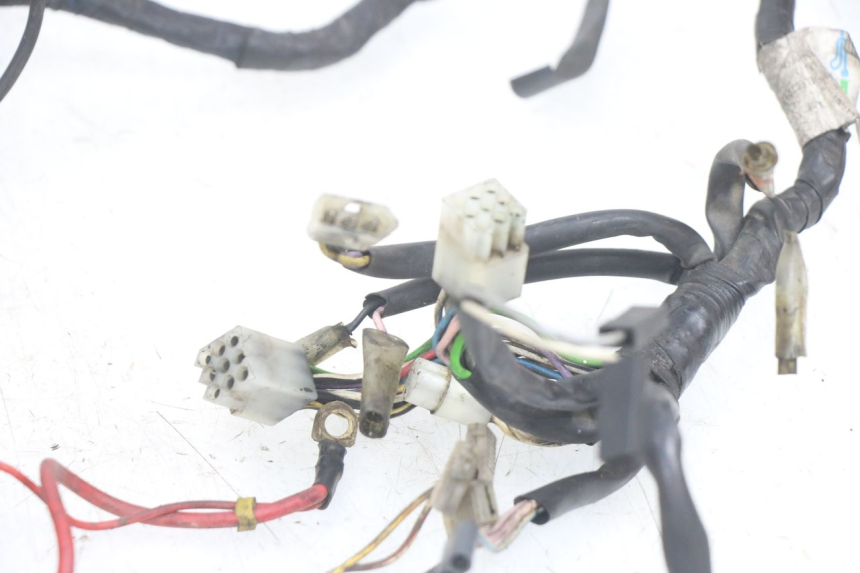 photo de WIRING HARNESS GILERA RK 50 (1996 - 1999)
