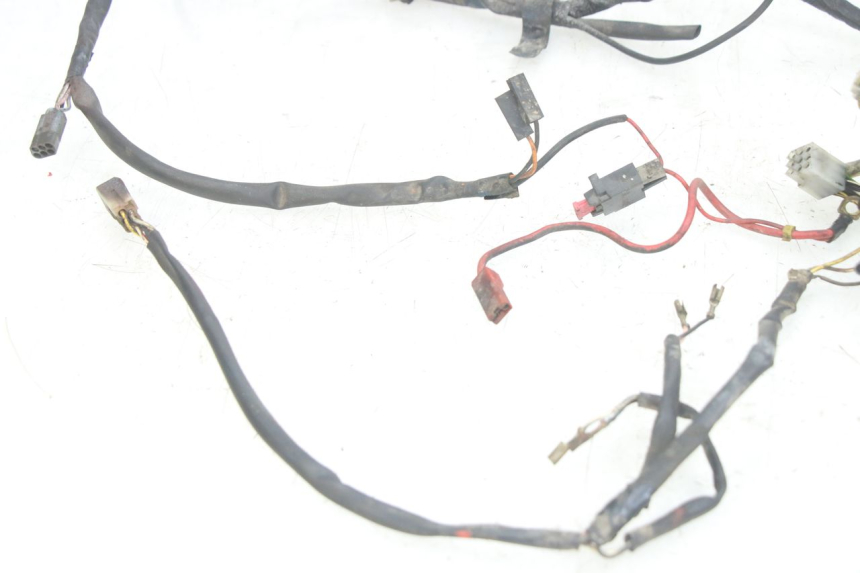photo de WIRING HARNESS GILERA RK 50 (1996 - 1999)