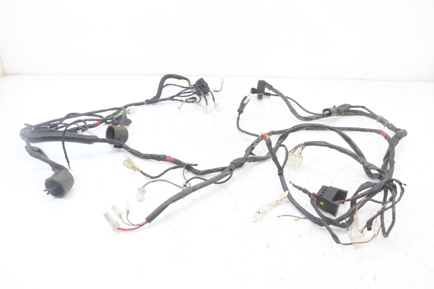 photo de WIRE HARNESS GILERA RUNNER SP 50 (2009 - 2017)