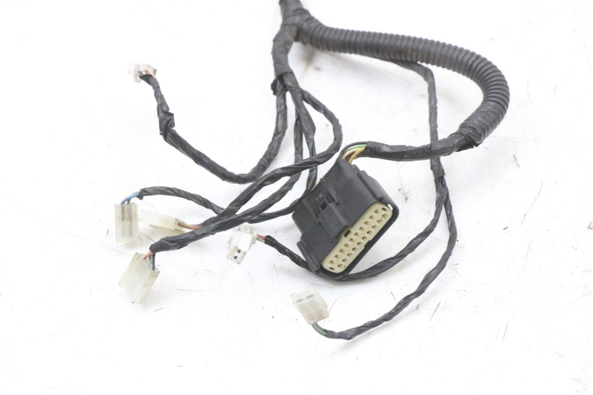 photo de WIRE HARNESS GILERA RUNNER SP 50 (2009 - 2017)