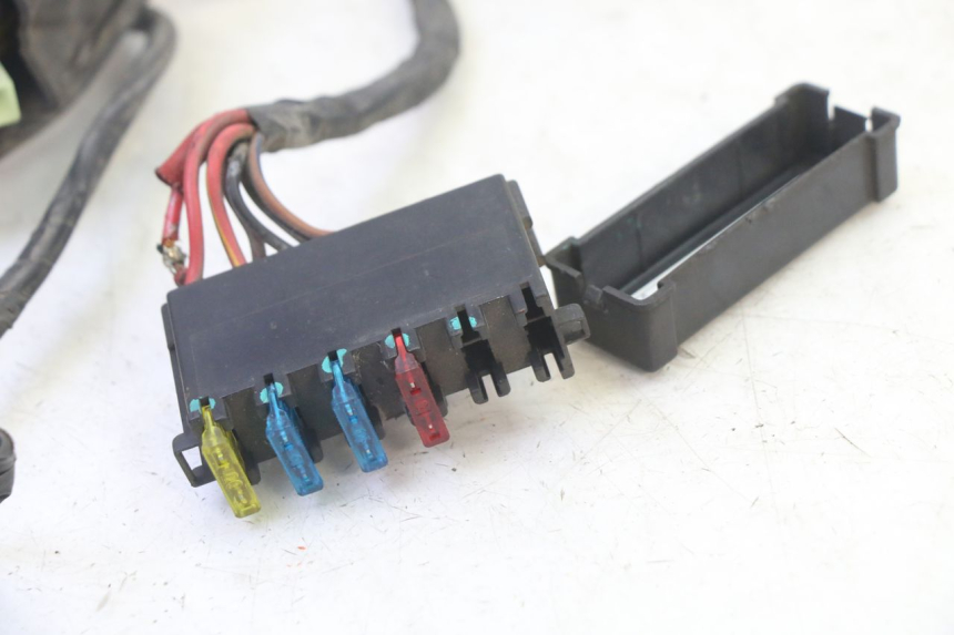 photo de WIRE HARNESS KYMCO GRAND DINK 125 (2002 - 2007)