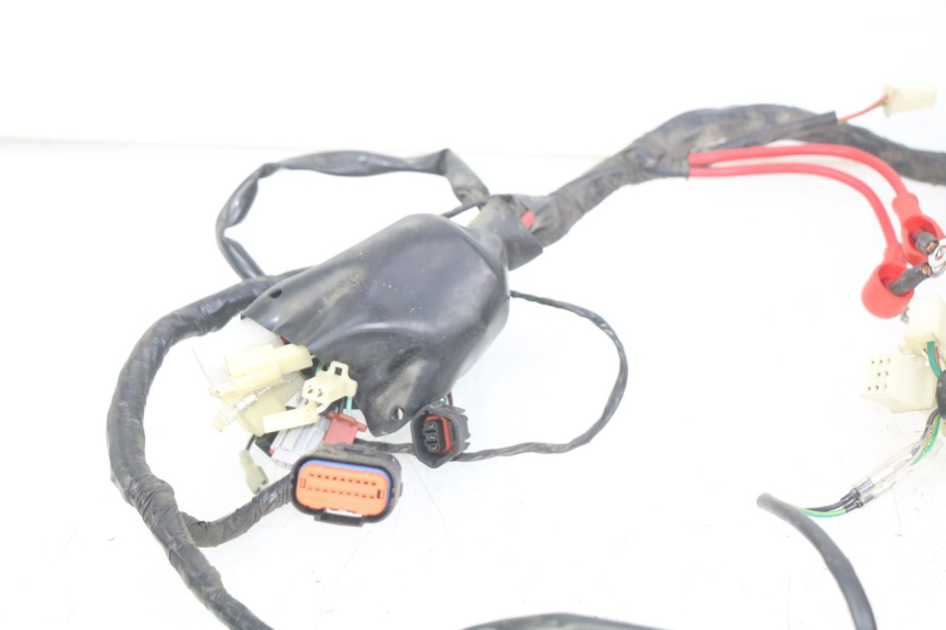 photo de WIRING HARNESS EUROCKA GTR 50 (2007 - 2017)