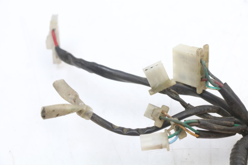 photo de WIRING HARNESS EUROCKA GTR 50 (2007 - 2017)
