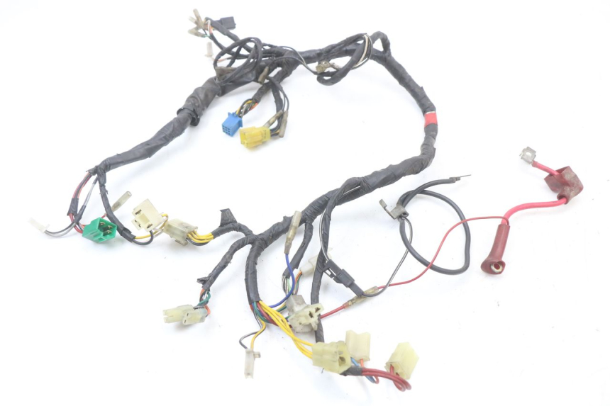 photo de Wiring harness HYOSUNG GV AQUILA 125 (2000 - 2004)