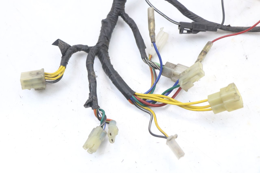 photo de Wiring harness HYOSUNG GV AQUILA 125 (2000 - 2004)
