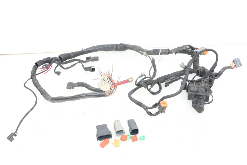 photo de WIRE HARNESS HARLEY DAVIDSON SPORTSTER XL CUSTOM 1200 (2003 - 2004)