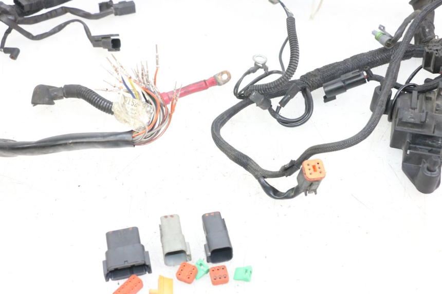 photo de WIRE HARNESS HARLEY DAVIDSON SPORTSTER XL CUSTOM 1200 (2003 - 2004)