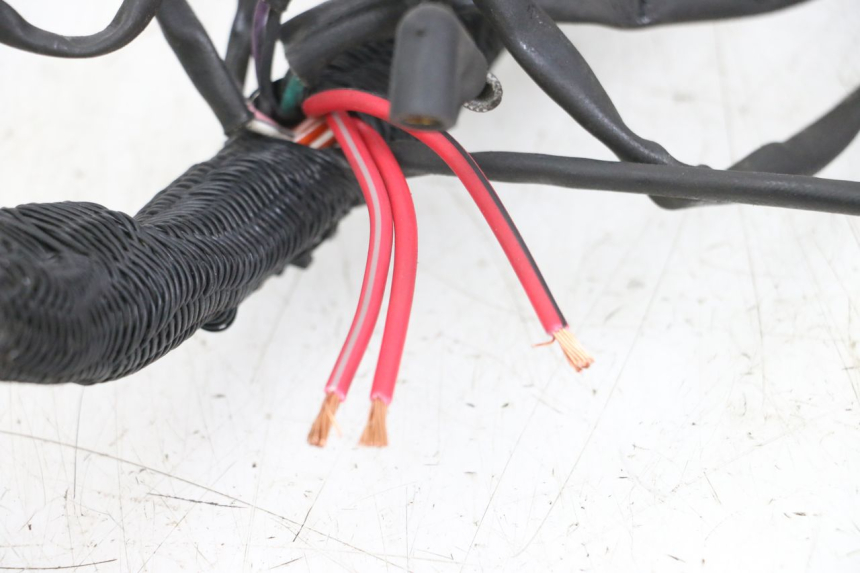 photo de WIRE HARNESS HARLEY DAVIDSON SPORTSTER XL CUSTOM 1200 (2003 - 2004)