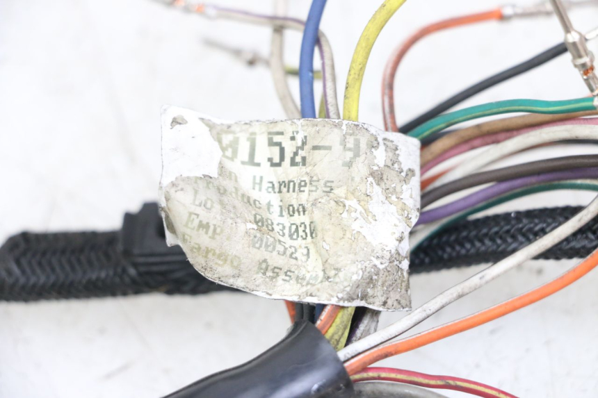 photo de WIRE HARNESS HARLEY DAVIDSON SPORTSTER XL CUSTOM 1200 (2003 - 2004)