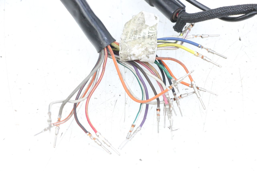 photo de WIRE HARNESS HARLEY DAVIDSON SPORTSTER XL CUSTOM 1200 (2003 - 2004)