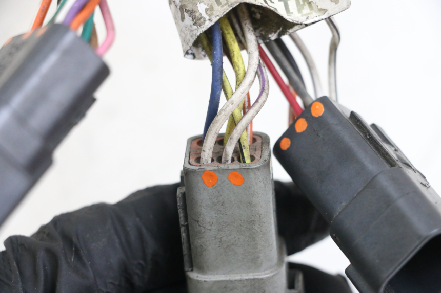photo de WIRE HARNESS HARLEY DAVIDSON SPORTSTER XL CUSTOM 1200 (2003 - 2004)