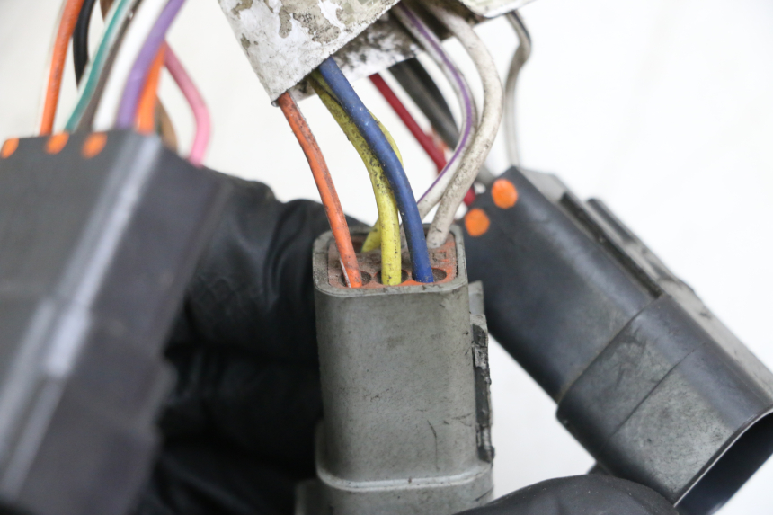 photo de WIRE HARNESS HARLEY DAVIDSON SPORTSTER XL CUSTOM 1200 (2003 - 2004)