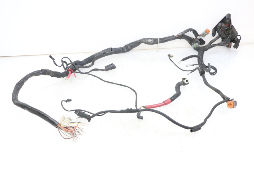 photo de WIRE HARNESS HARLEY DAVIDSON SPORTSTER XL CUSTOM 1200 (2003 - 2004)