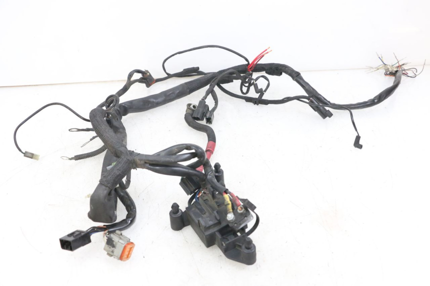 photo de WIRE HARNESS HARLEY DAVIDSON SPORTSTER XL CUSTOM 1200 (2003 - 2004)