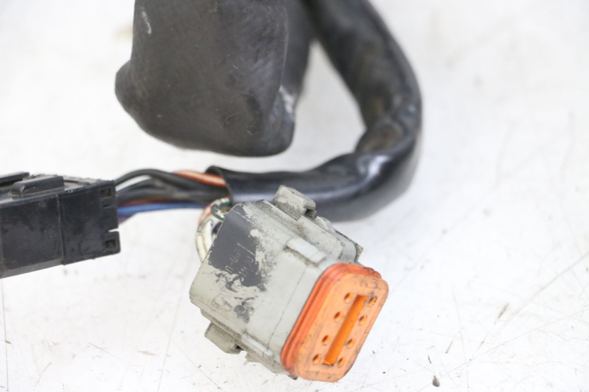 photo de WIRE HARNESS HARLEY DAVIDSON SPORTSTER XL CUSTOM 1200 (2003 - 2004)
