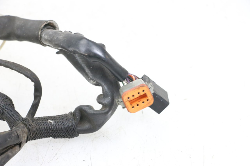 photo de WIRE HARNESS HARLEY DAVIDSON SPORTSTER XL CUSTOM 1200 (2003 - 2004)