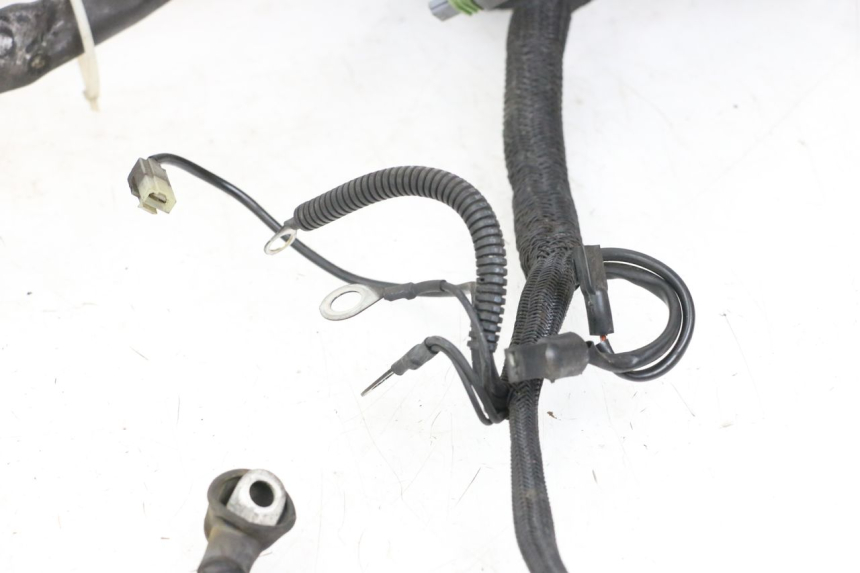photo de WIRE HARNESS HARLEY DAVIDSON SPORTSTER XL CUSTOM 1200 (2003 - 2004)